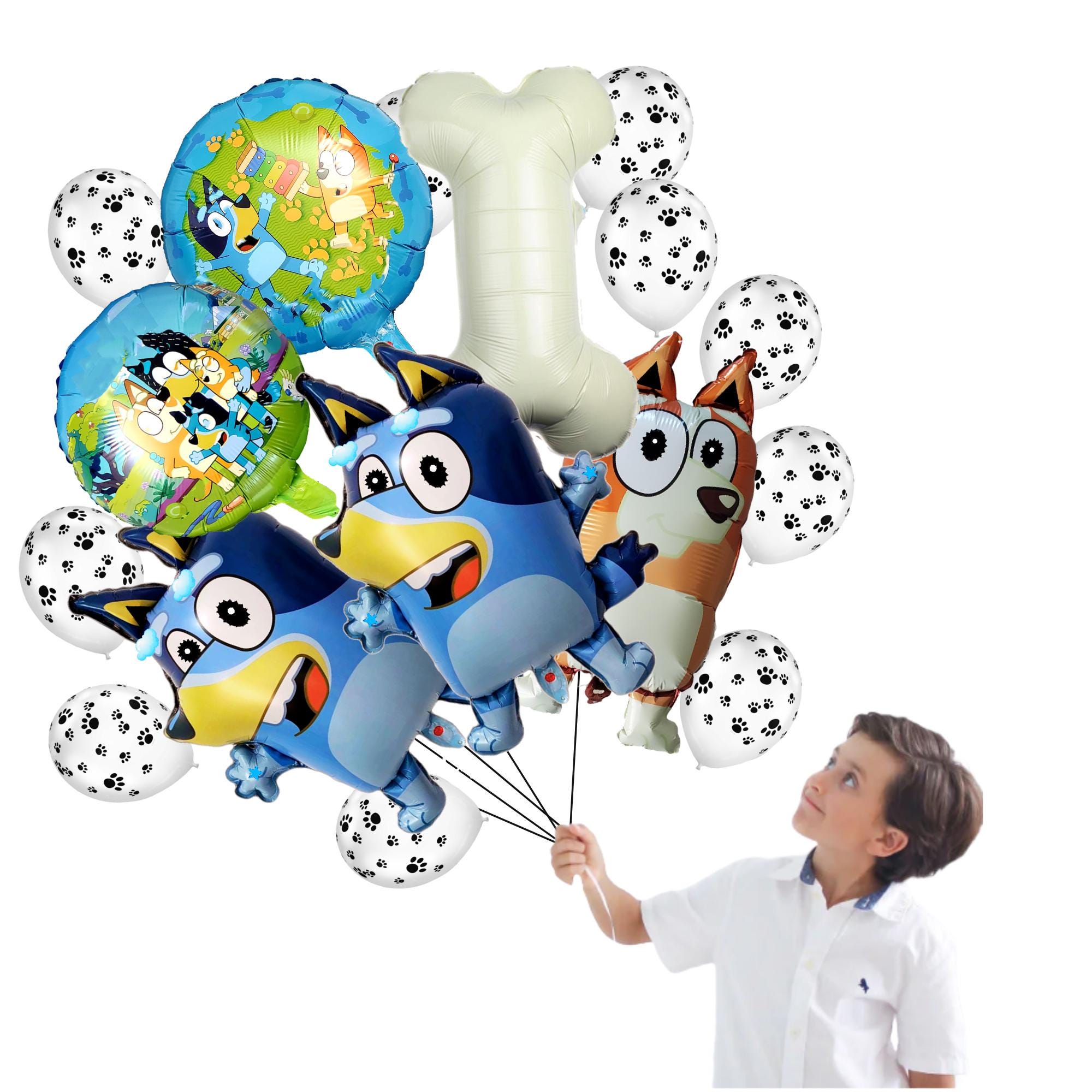 18pc Blue Dog latex Bouquet