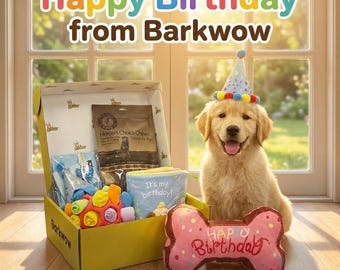 Pudełko na prezent urodzinowy dla psa | Pluszowa kość, piłeczka węchowa i czapeczka imprezowa