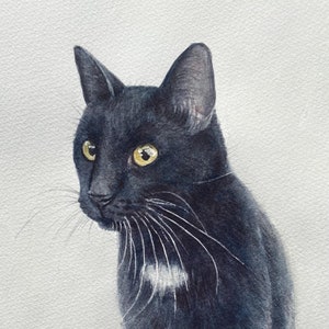 black cat watercolor painting 9x12