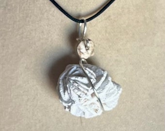 May include: A white fossilized sea creature pendant on a black cord necklace. The pendant is wrapped in silver wire and has a small white bead at the top.