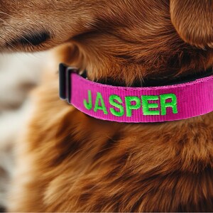 Personalisiertes Halsband mit Haustiernamen, bestickter Hundehalsband mit Haustiernamen, bestickter Hundehalsband mit Namen, Hundehalsband mit Gravur