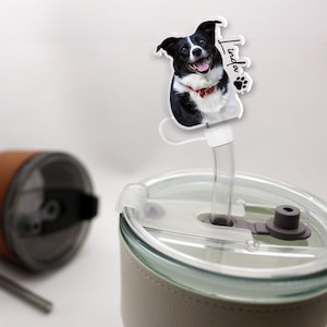 Customized Photo FACE HEAD Straw Cover, Pet Photo Straw Topper, Personalized Stanley Accessory Straw Topper, Pet Memorial Tumbler Straw Cap