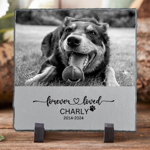Custom Pet Memorial Photo Stone, Personalized Photo Dog Cat Memorial Plaque, Photo Square Rock with Pet Name, Pet Loss Gift, Pet Grave Stone