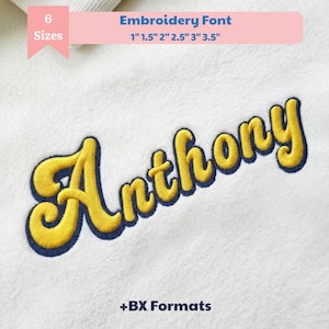 Puffy Shadow Embroidery Font, Cursive Script Alphabet, Machine Embroidery Lettering, BX Font, Monogram Design, 6 Sizes