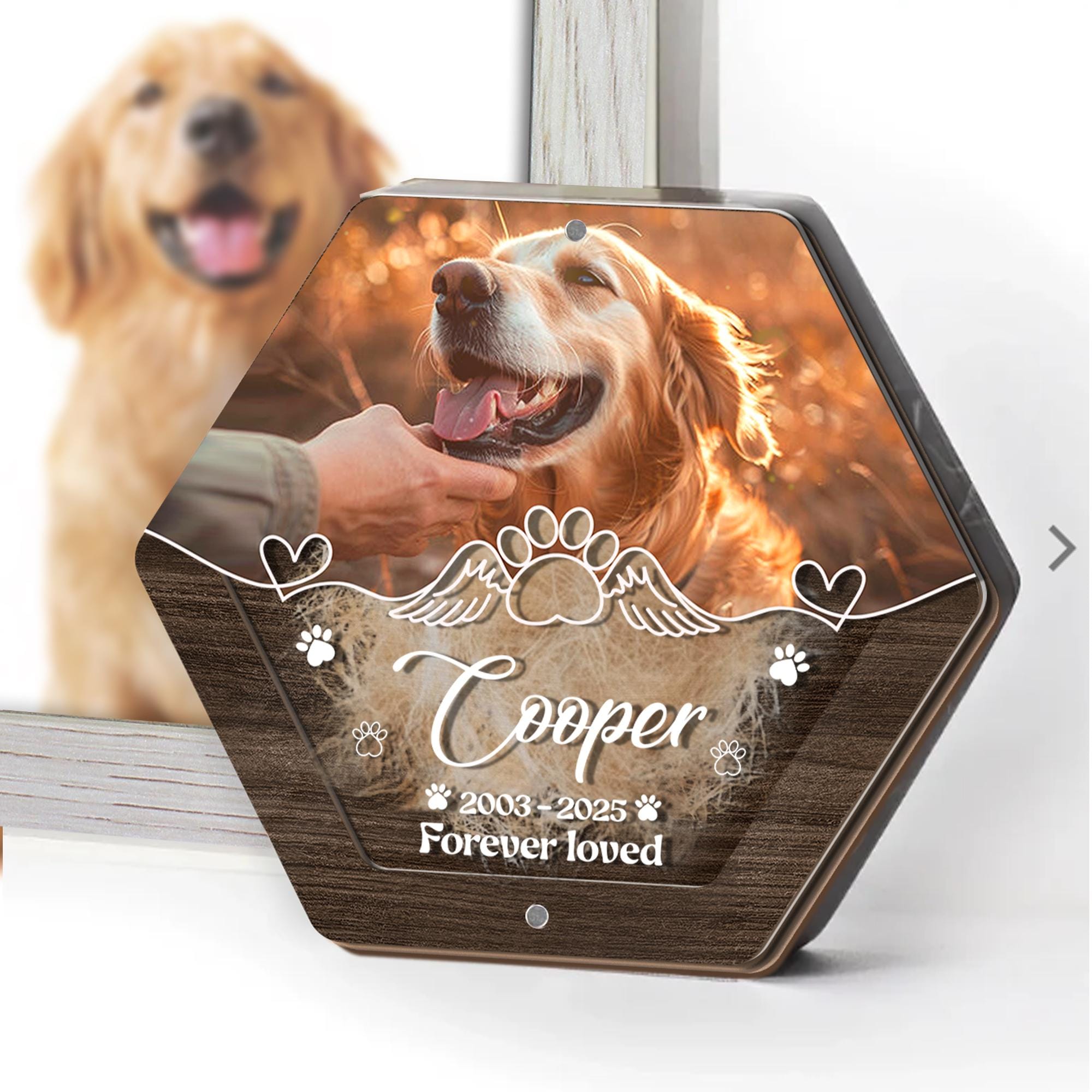Custom Pet Hair Storage Box, Acrylic Box With Pet Picture, Pet Fur Keepsake, Pet Tooth Memorial Gift, Pet Memorial, Personalized Jewelry