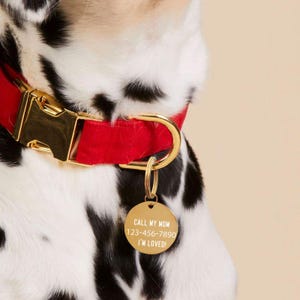 Double Side Silent Collar Tag, Custom Pet Collar Tag, Personalized Cat Tag, Tag Cat ID, Tag Dog ID, Dog Name Tag, Pet Name Engraved
