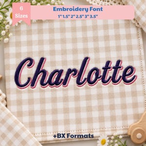May include: A beige and white gingham fabric square featuring the embroidered name Charlotte in dark blue with a pink outline. A pink banner at the top displays the text Embroidery Font 6 Sizes 1 inch 1.5 inch 2 inch 2.5 inch 3 inch 3.5 inch and the text +BX Formats at the bottom.