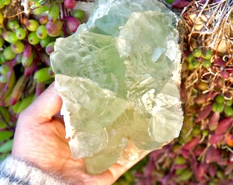 2.36 lbs RARE! HQ Green Fluorite Crystal Specimen - Xianghualing, China - Vivid Green Cubes