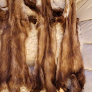 Könnte beinhalten: Mehrere braune Pelzfelle mit verschiedenen Braun- und Beigetönen werden gezeigt. Die Felle liegen auf einer weißen, strukturierten Oberfläche. Das Fell wirkt weich und luxuriös, mit einem natürlichen Glanz.