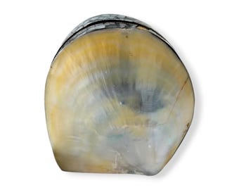Lunar Pearl Gift Case From Paradise Bali, Jewelry Box for Your Treasures, Vanity Table & Bathroom Accessory, Beach Memories, Unique Boho Gif