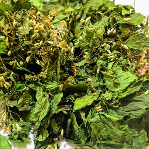 Calea Zacatechichi: 100% Pure Mexican Dream Herb Tea