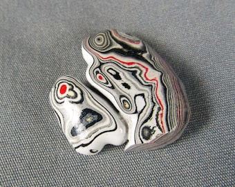 Fordite Detroit Agate Hand Cut cabochon specimen