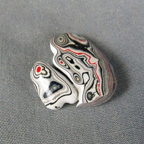 Fordite Detroit Agate Hand Cut cabochon specimen