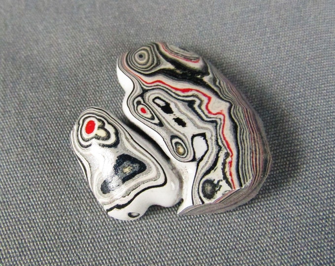 Fordite Detroit Agate Hand Cut cabochon specimen