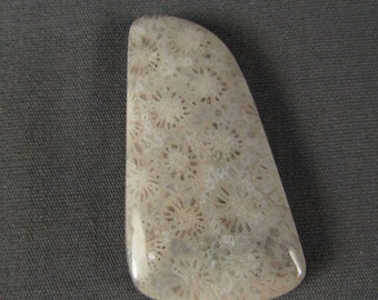 Indonesian Fossil Coral Cabochon Designer Fantastic flowers