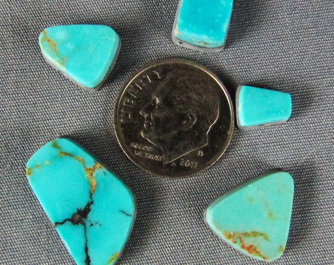Turquoise group of 5 cabochons with backing for perfect flat setting