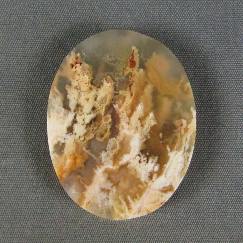 Graveyard Point Plume Agate Cabochon rock gemstone cabochon
