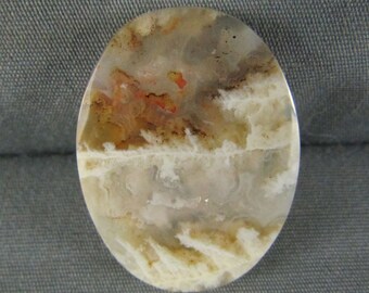 Graveyard Point Plume Agate Cabochon rock gemstone cabochon