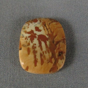 Owyhee Jasper Cabochon Picture Jasper Beautiful Designer Cabochon