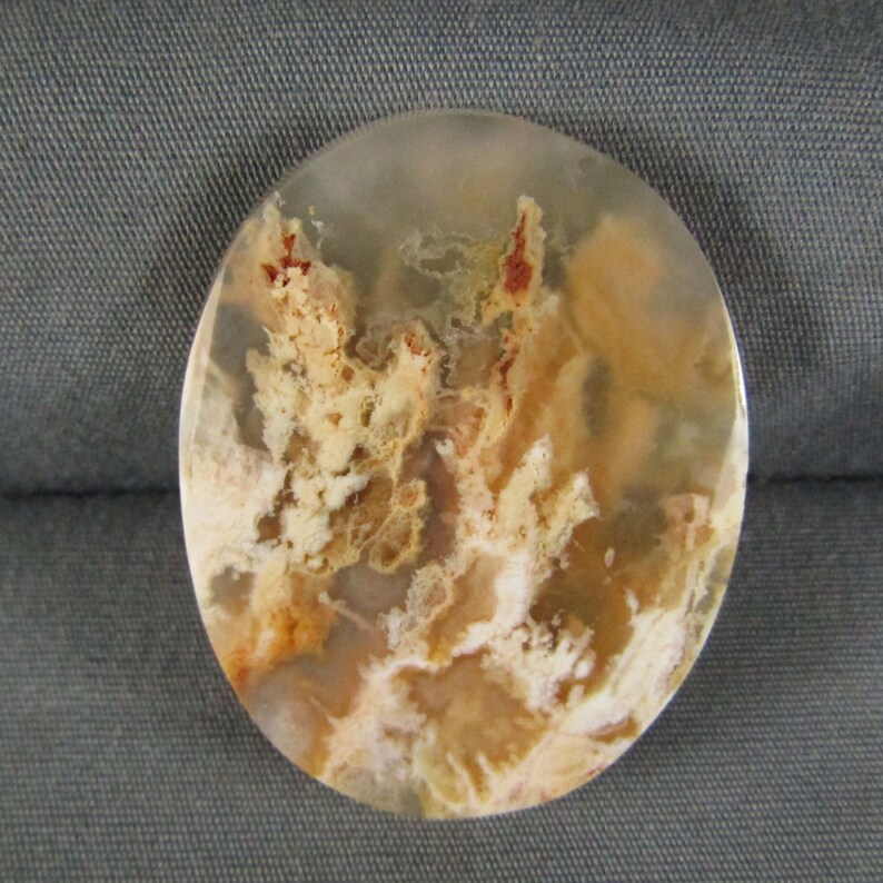 Graveyard Point Plume Agate Cabochon rock gemstone cabochon