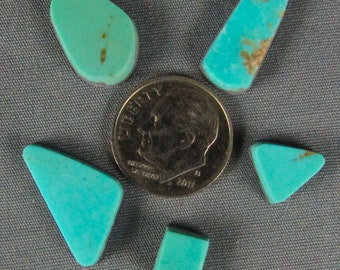 Turquoise group of 5 cabochons with backing for perfect flat setting