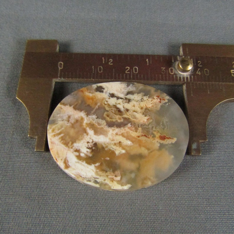 Graveyard Point Plume Agate Cabochon rock gemstone cabochon