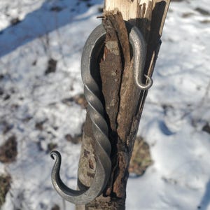 Peut inclure: Un crochet en métal torsadé avec une boucle en haut et un crochet en bas. Le crochet est fixé à une branche d'arbre.