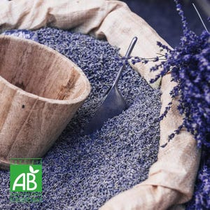 Può includere: Una ciotola di legno e una paletta di metallo poggiano in un letto di lavanda essiccata. Un mazzo di rametti di lavanda fresca è sulla destra. La scena è ambientata su un sacco di juta beige, creando un'estetica rustica e naturale.