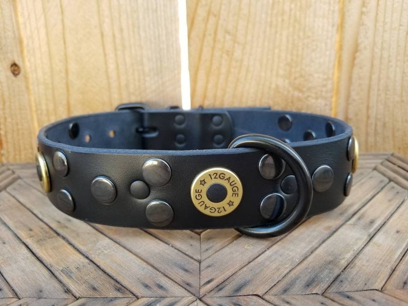 bullet dog collar