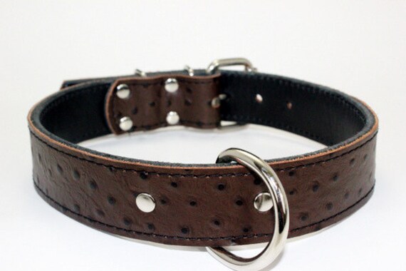 dog collar with stones