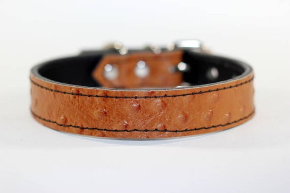ostrich dog collar