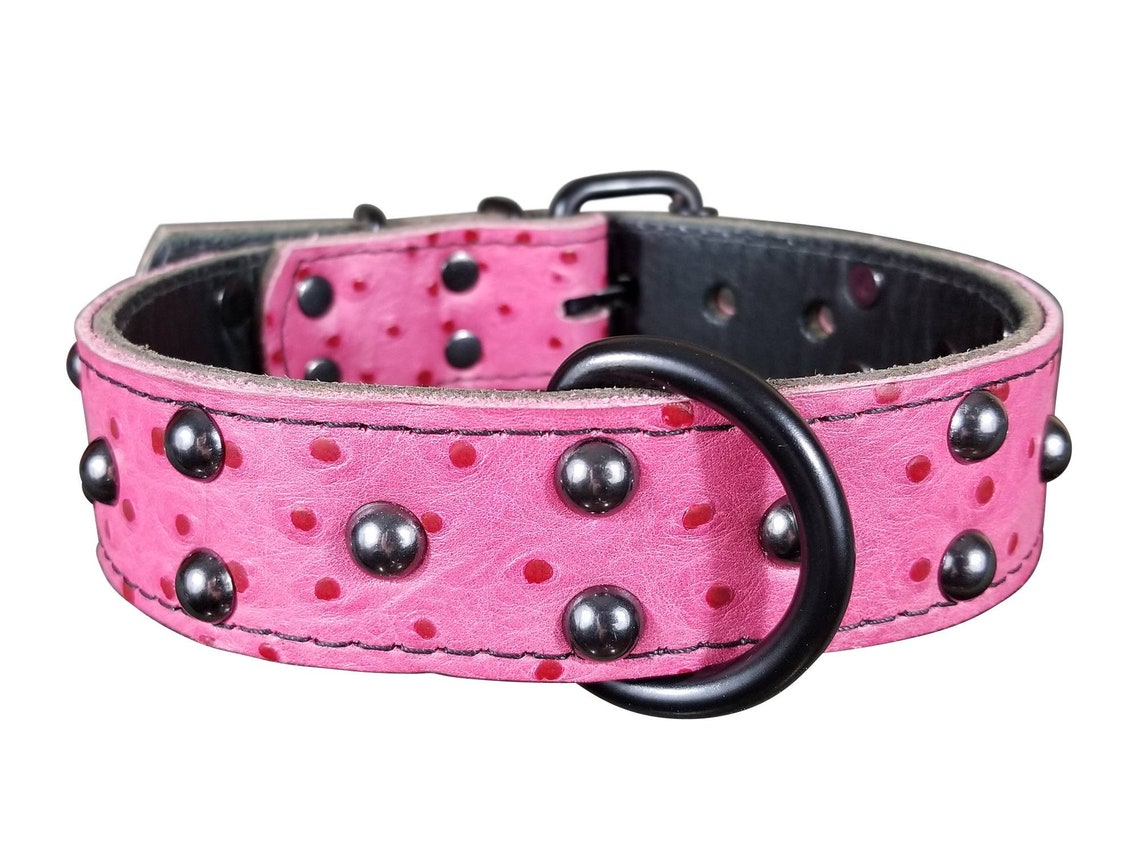 Pink Studded Dog Collar 1.5 Ostrich studded Leather Etsy