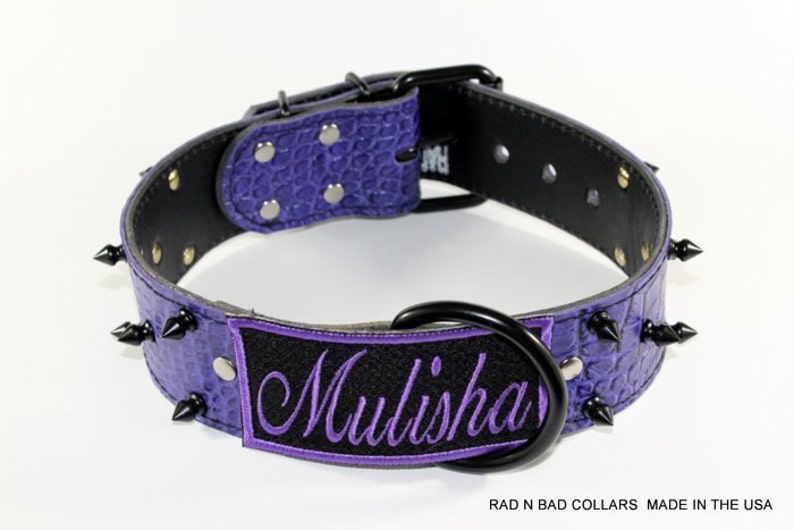 purple spiked dog collar