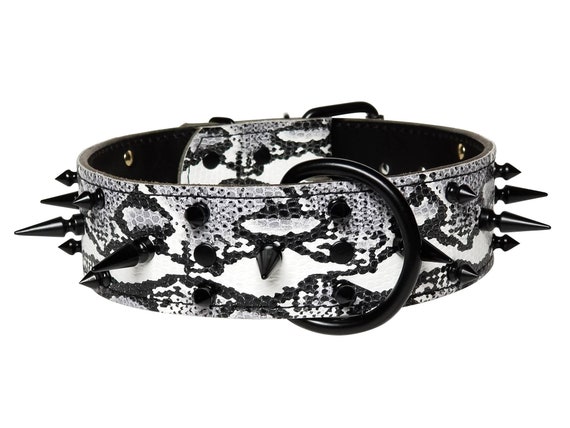 black spiked dog collar