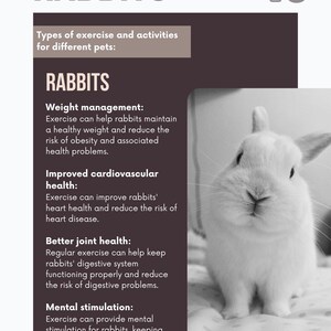 May include: A white rabbit is featured on a page with the title "RABBITS" and "Chapter 3." The page lists the benefits of exercise for rabbits, including weight management, improved cardiovascular health, and mental stimulation.