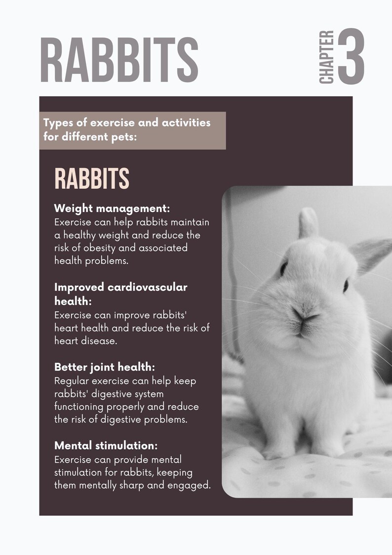 May include: A white rabbit is featured on a page with the title "RABBITS" and "Chapter 3." The page lists the benefits of exercise for rabbits, including weight management, improved cardiovascular health, and mental stimulation.