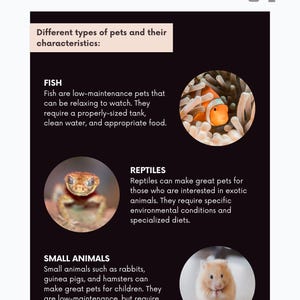 May include: Educational graphic about different types of pets. Includes images and descriptions of fish, reptiles, and small animals like hamsters. Text includes "Different types of pets and their characteristics:" and "CHAPTER 1".