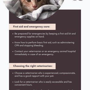 May include: A ginger cat wrapped in a gray blanket, with text about first aid and emergency care for pets. The text includes advice on preparing for emergencies, performing first aid, and choosing a veterinarian. Chapter 6 is displayed in the upper right corner.