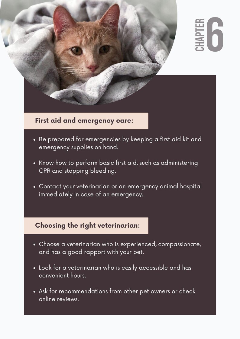 May include: A ginger cat wrapped in a gray blanket, with text about first aid and emergency care for pets. The text includes advice on preparing for emergencies, performing first aid, and choosing a veterinarian. Chapter 6 is displayed in the upper right corner.