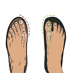 May include: Illustration of two feet, one with a red dashed line showing the proper foot position in a shoe, and the other with a green dashed line showing the improper foot position in a shoe.