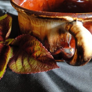 May include: A close-up of a brown ceramic mug with a curved handle. The mug has a glossy finish with a gradient of brown and tan colors. A plant with green, yellow, and red leaves is next to the mug.