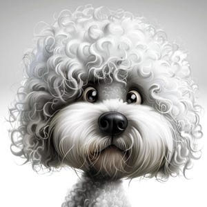 Eigenzinnige hond illustraties, afbeeldingen grappige hond, hond clipart, aquarel clipart, For Crafts, hoge kwaliteit png, transparante achtergrond, hond clipart, Bichon Frisé