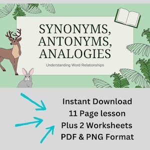 Synonyms & Antonyms Lesson: Analogies Worksheets (Digital Download)