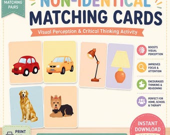 Non-Identical Matching Cards Printable | Visual Perception Activity | Preschool Matching Game | Autism & Special Education | Therapy PDF