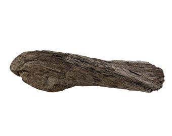 Twisted California Coast Driftwood Form – Dark Weathered Grain 13”