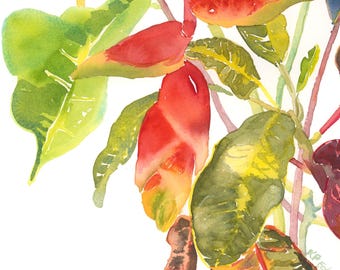 Heliconia Flower Watercolor Art Print – Tropical Botanical Wall Art