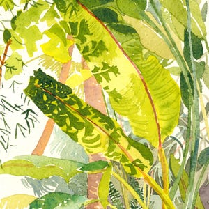 May include: Watercolor painting of lush green tropical foliage. Large, vibrant leaves with red stems dominate the foreground, while smaller leaves and tree trunks fill the background. The artwork uses a palette of greens and yellows.