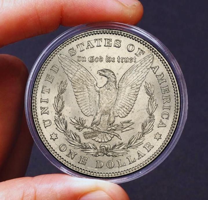 1878年モルガン・ダラー – アメリカの記念収集コインギフト - Etsy 日本