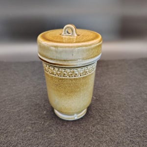 May include: A ceramic jar with a lid. The jar is a light brown color with a decorative band of clover-like designs around the middle. The lid has a small loop handle. The jar is on a dark gray surface.