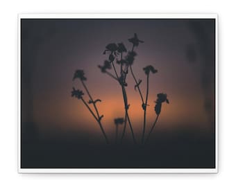Silhouette Wildflowers Wall Art Fine Art